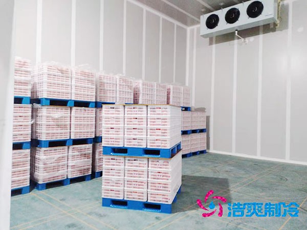 食堂冷庫(kù)建造價(jià)格大概多少錢(qián)？-浩爽制冷