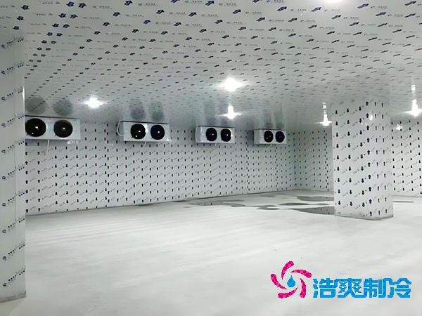 小型速凍冷庫建造價格